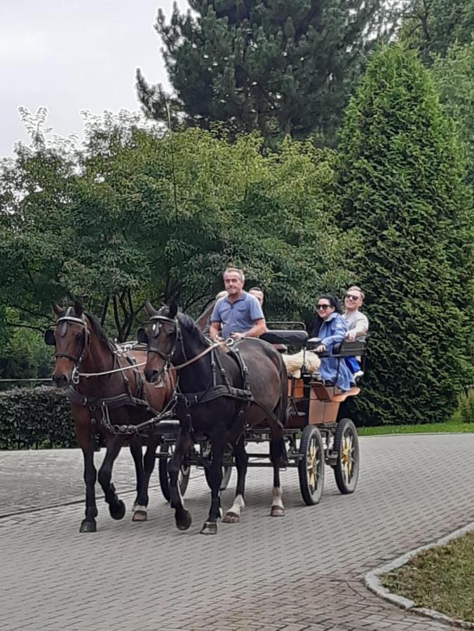 Der perfekte Ausgangspunkt Leilighet Konigerode Eksteriør bilde
